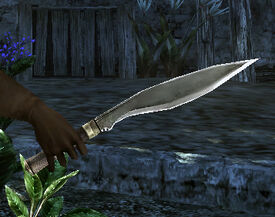 Dagger Assassin's