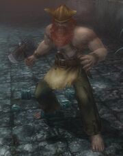 Novice fighter
