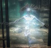 Grey spirit
