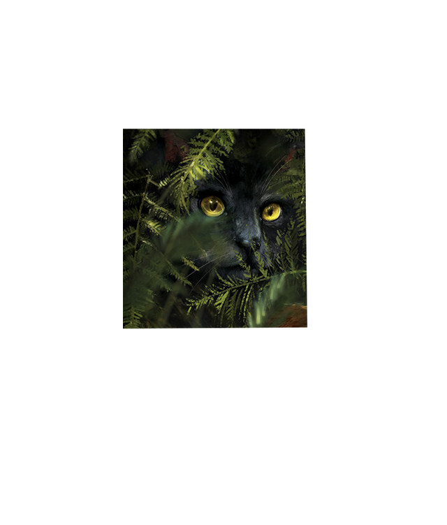 Plik:S.png