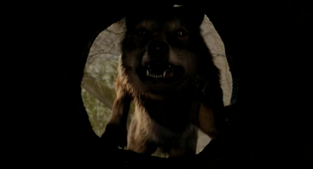 File:Capture 293.png