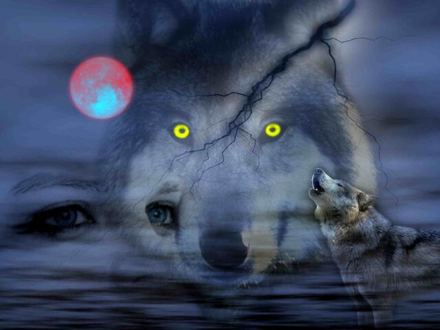 File:Wolfs.jpg