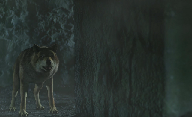 File:WB Wolf 2.png