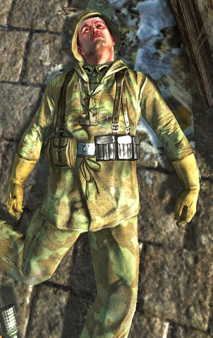 File:Waffen-SS-WOF2009.png