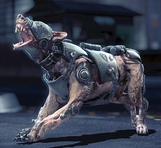Файл:Kampfhund 1946.jpg