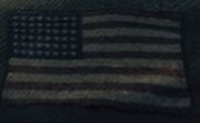 48starflag