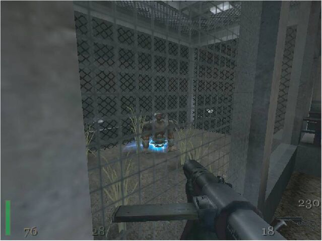 File:Looper cage.jpg