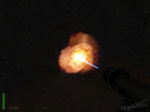 Flamer2.jpg
