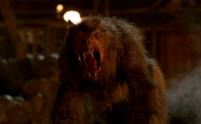 File:Werewolves Ginger.jpg