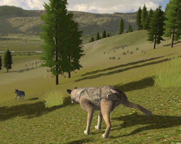 File:Screen shot44.jpg