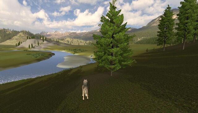 File:Screen shot43.jpg