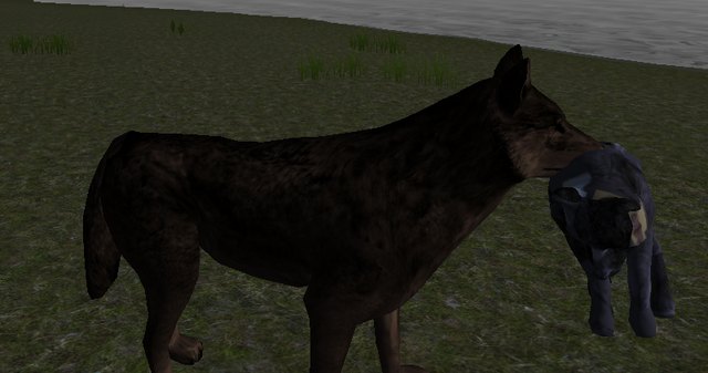 File:Zombie Pup 2.png