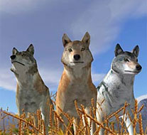 File:HUND.jpg