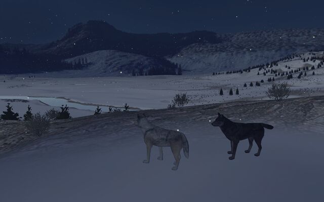 File:Screen shot54.jpg