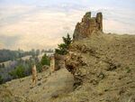 Yellowstone Fossil Forest-a