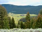 Yellowstone Slough Creek