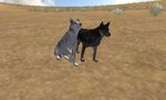 Angel demon wolfquest