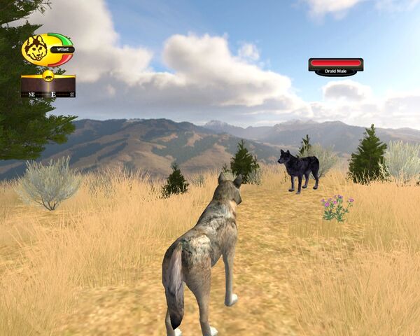 File:Screen shot42.jpg