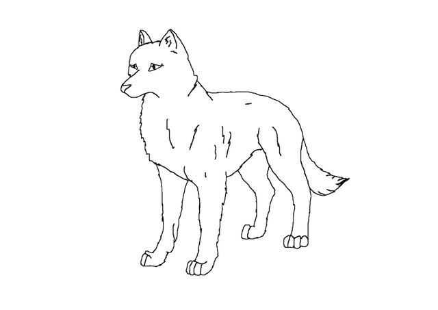 File:Wolf Female.png