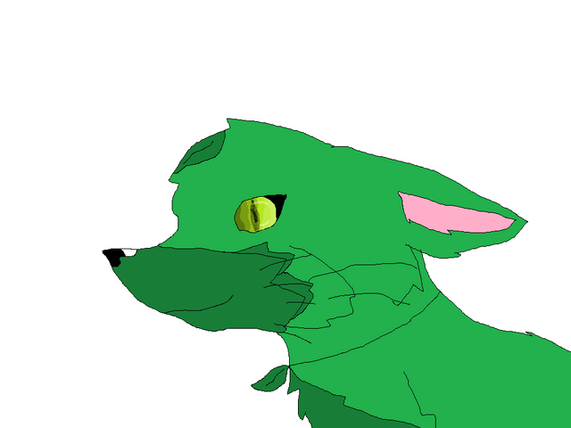 File:Leafstorm the fox.png