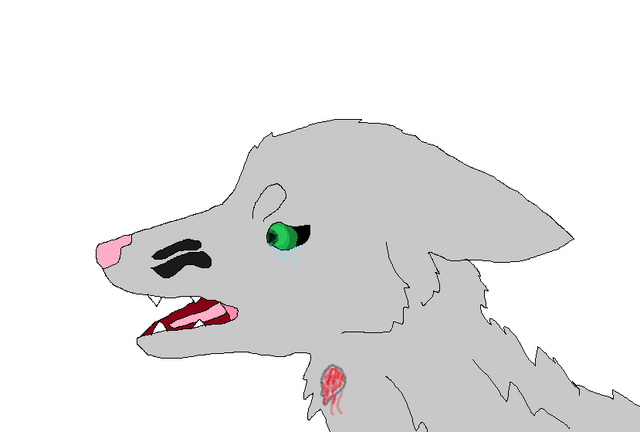 File:NO!!.png