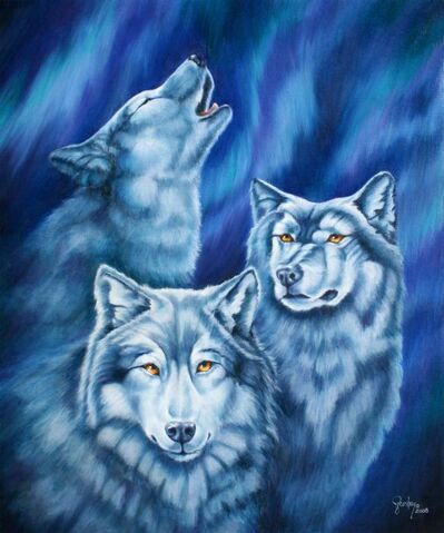 File:Aurora-wolves-wendy-froshay.jpg