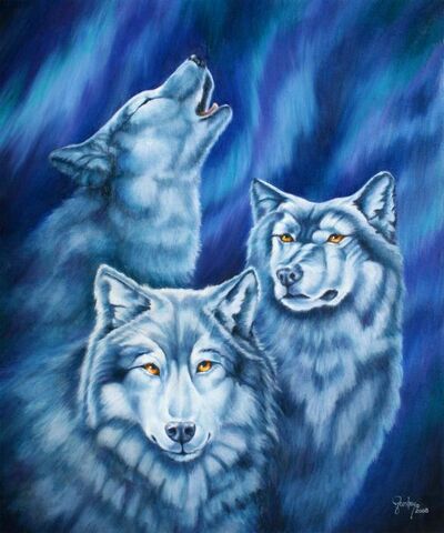 Aurora-wolves-wendy-froshay