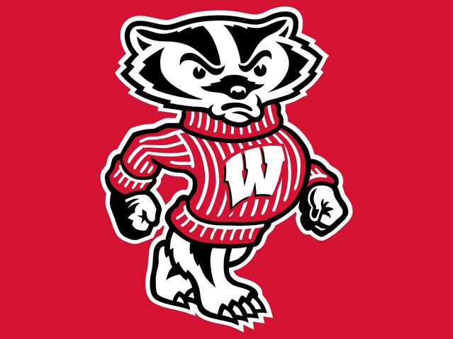 File:Badger.jpg