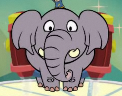 Elephant