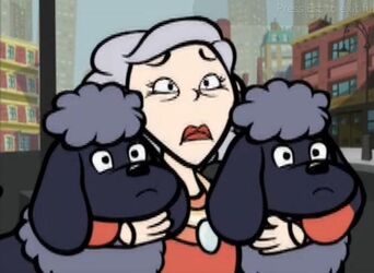 Poodles von Hoosinhhaus