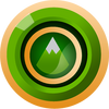 Earth Stone