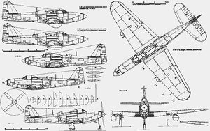 P63