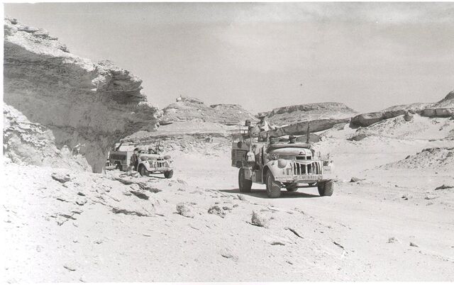 File:7th Royal Armored Division.jpg