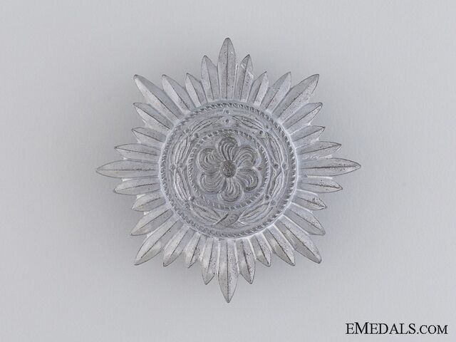 File:VolunteerMedalSilver.jpg