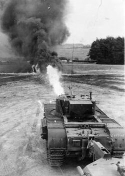 Churchill Crocodile