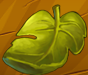 Collection-Fig Leaf