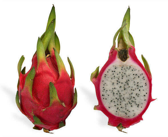 File:Pitaya.jpg