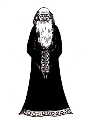 File:Img022 Hellibore.jpg