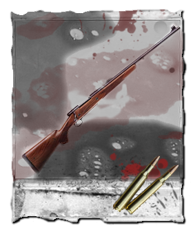 File:Winchester-model70.png