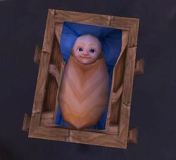 Xenor Baby