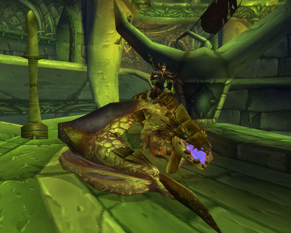 File:WoWScrnShot 052010 174431.jpg