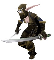 Nightelf-rogue