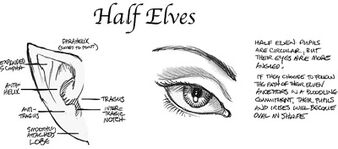 Half elves