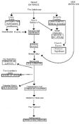 Karazhan layout.jpg