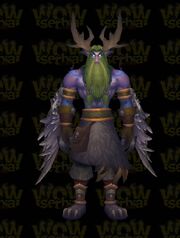 Malfurion Stormrage 1.jpg