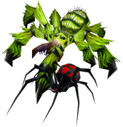 Spiders.png