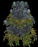 Silverleaf.png