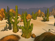 Thistleshrub Valley.jpg