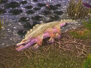 Crocolisk.jpg