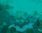 Nighthaven.jpg